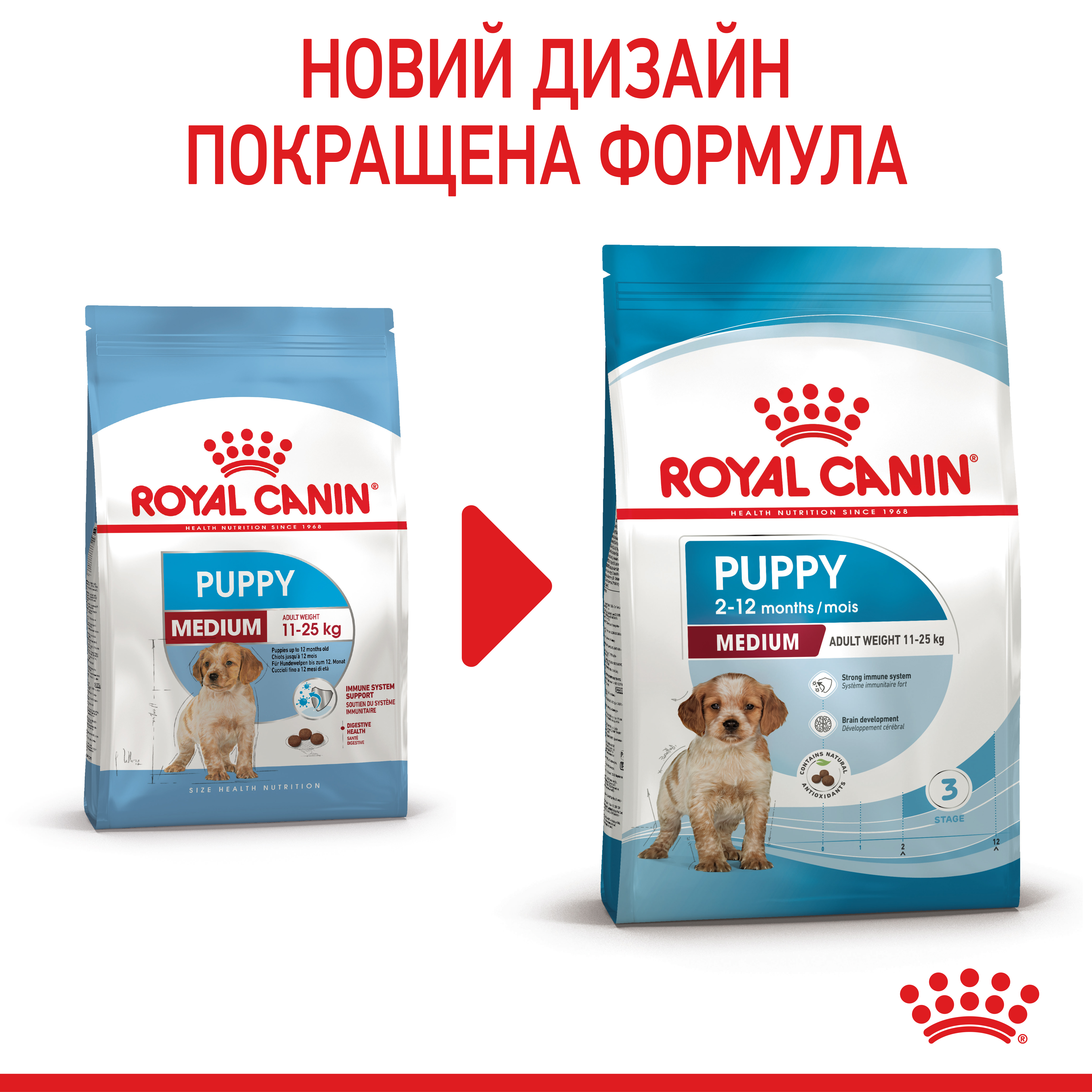 ROYAL CANIN Medium Puppy Сухий корм для цуценят9