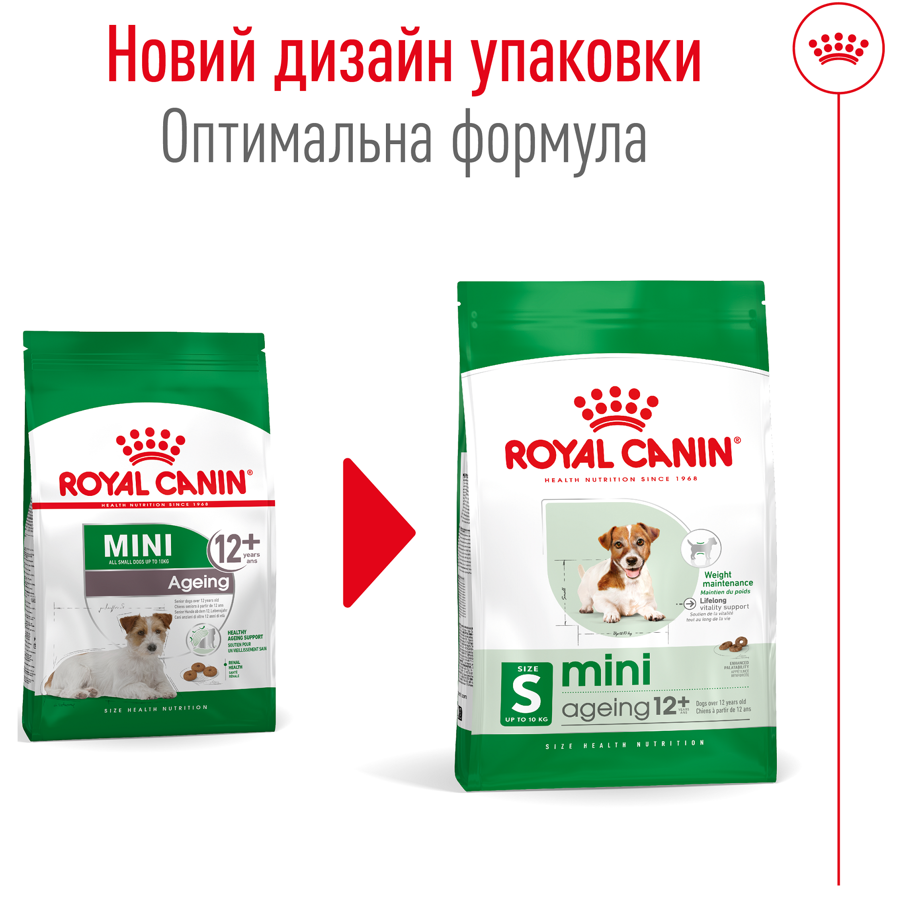 ROYAL CANIN Mini Ageing 12+ Сухой корм для стареющих собак мелких пород от 12 лет5