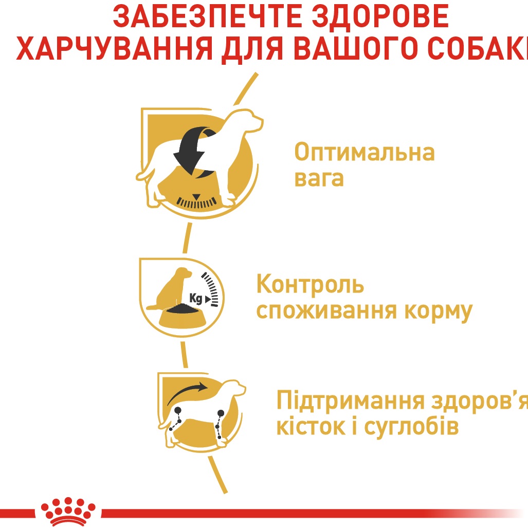 ROYAL CANIN Beagle Adult Сухой корм для взрослых собак породы Бигль3