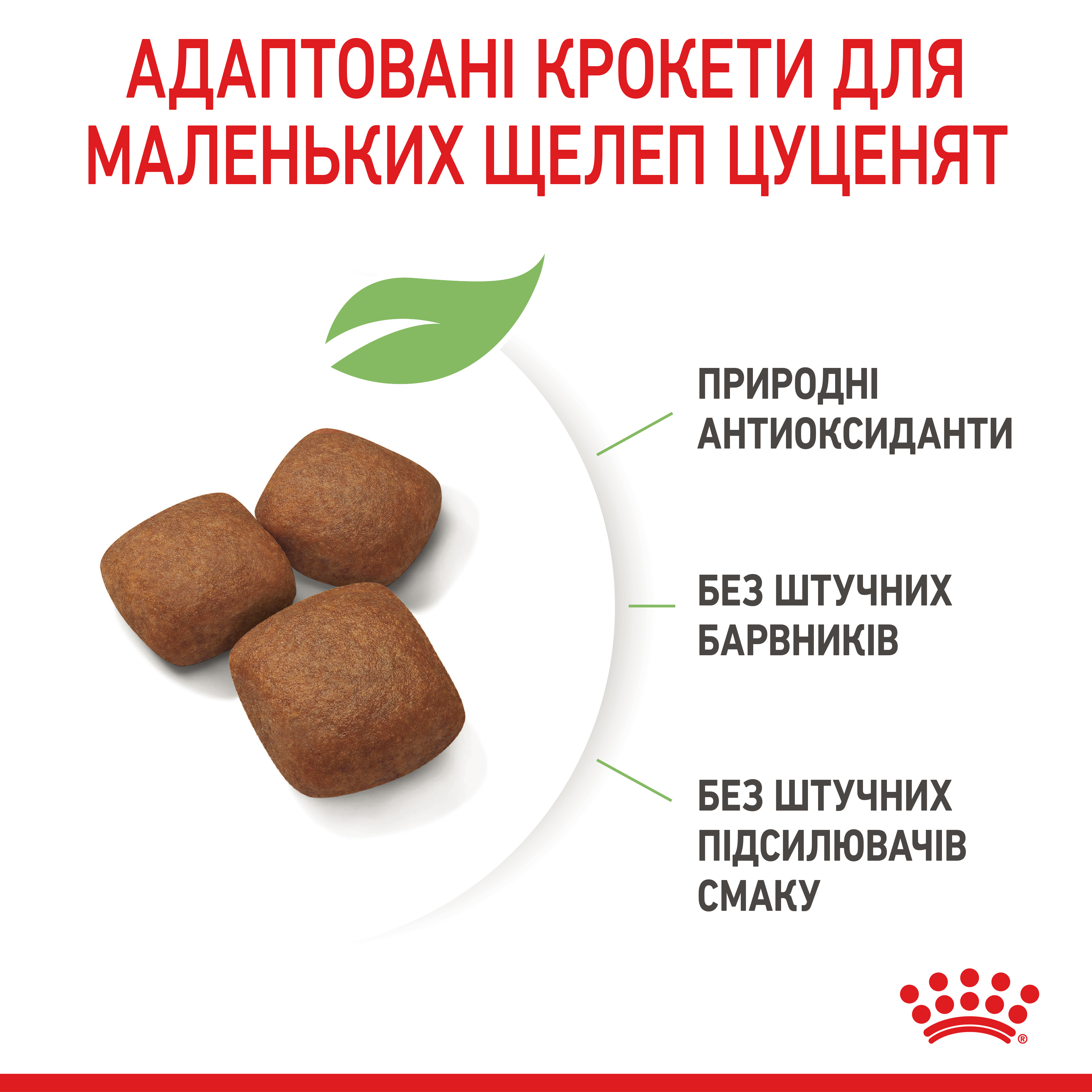 ROYAL CANIN Giant Junior Сухой корм для щенков и молодых собак гигантских пород3