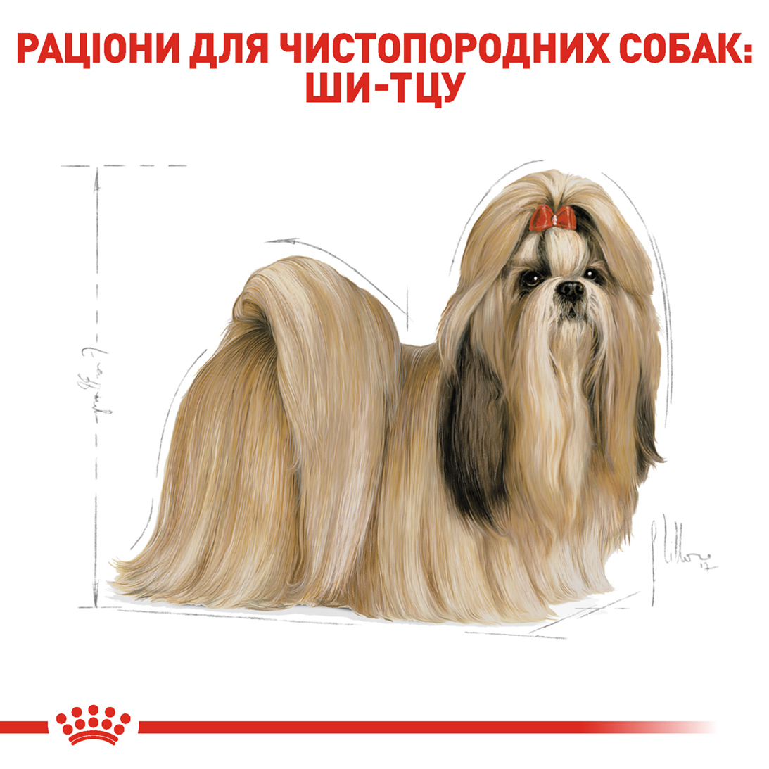 ROYAL CANIN Shih Tzu Adult Сухой корм для взрослых собак породы Ши-тцу5