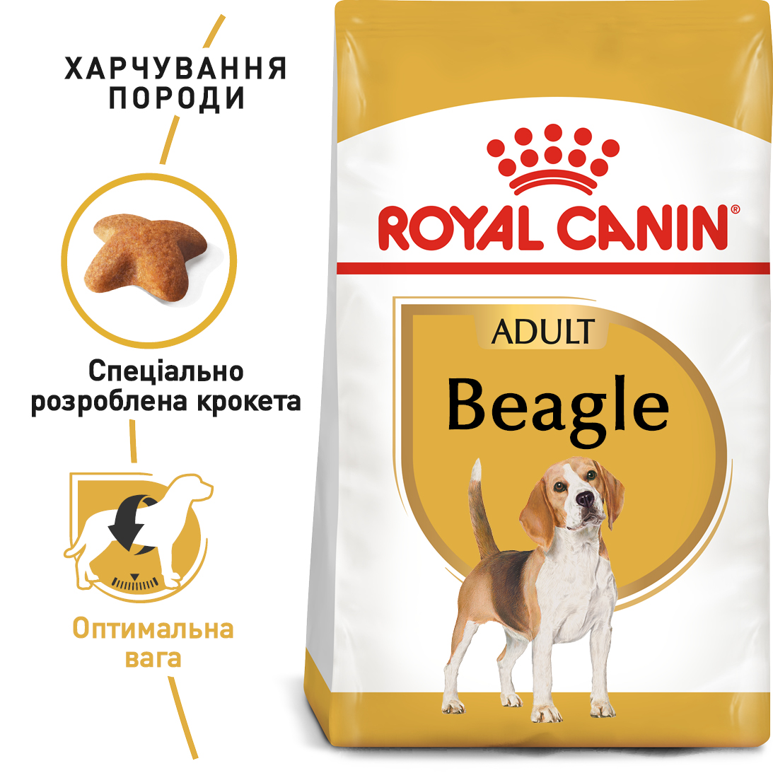 ROYAL CANIN Beagle Adult Сухий корм для дорослих собак породи Бігль1