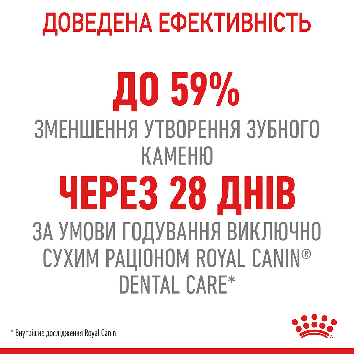 ROYAL CANIN Dental Care Сухий корм для дорослих котів для зменшення утворення зубного нальоту та каменю5