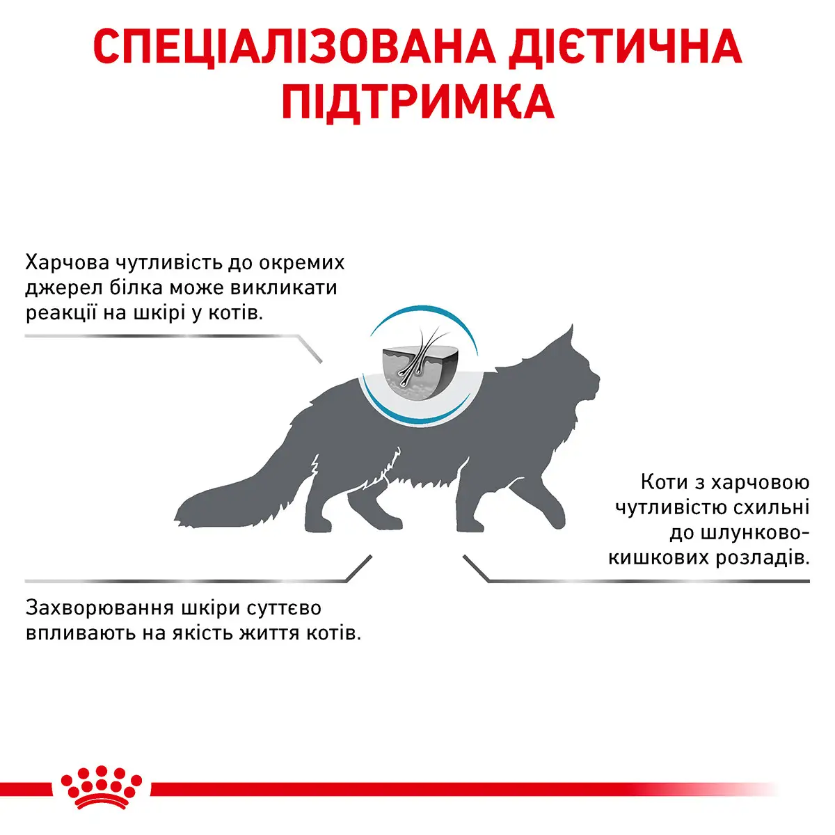 ROYAL CANIN Anallergenic Cat Сухой корм для взрослых котов2