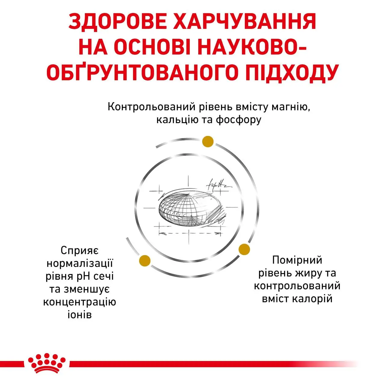 ROYAL CANIN Urinary S/O Moderate Calorie Cat Сухий корм для дорослих котів2