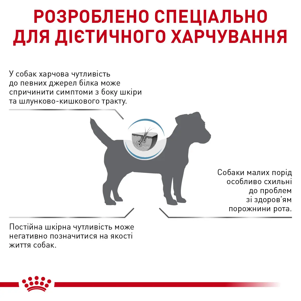 ROYAL CANIN Anallergenic Small Dog Сухой корм для взрослых собак4