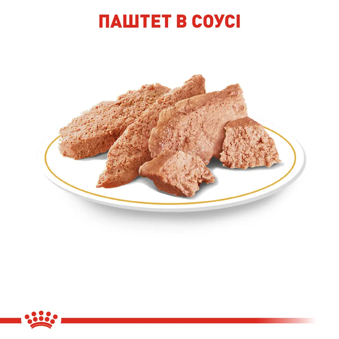 ROYAL CANIN Chihuahua Adult Вологий корм для дорослих собак породи Чихуахуа4