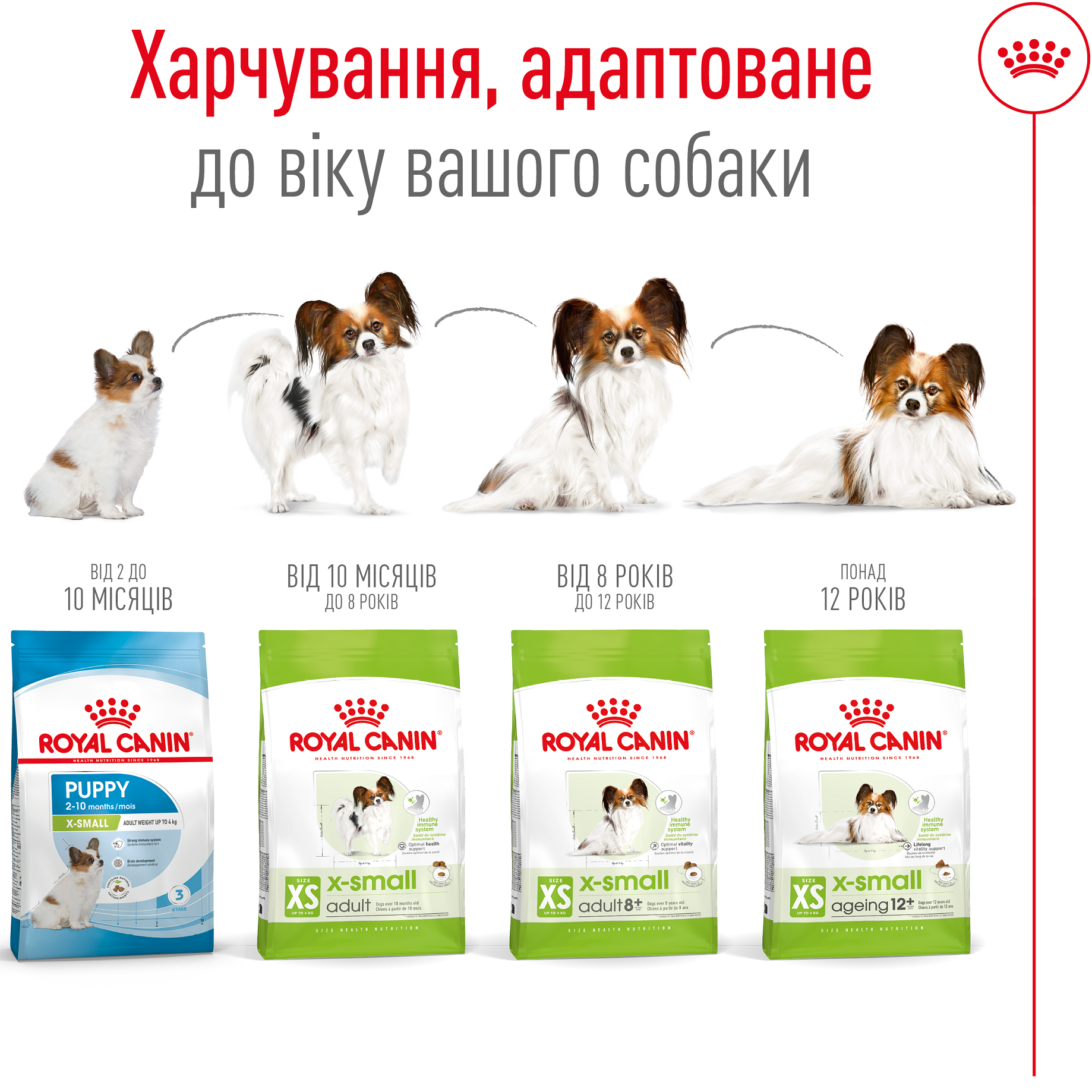 ROYAL CANIN X-Small Adult Сухой корм для взрослых собак мелких пород6