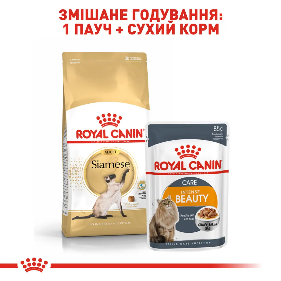 ROYAL CANIN Siamese Adult Сухой корм для взрослых котов породы Сиамская7