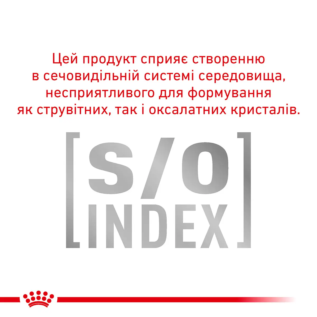 ROYAL CANIN Anallergenic Cat Сухой корм для взрослых котов6