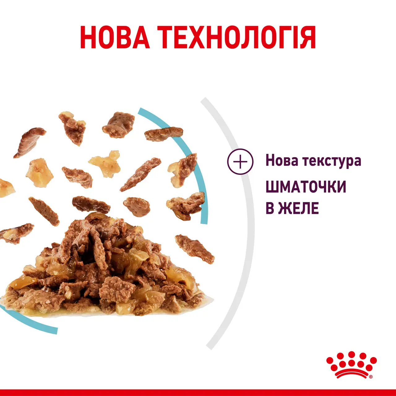 ROYAL CANIN Sensory Feel Jelly Влажный корм для взрослых котов4