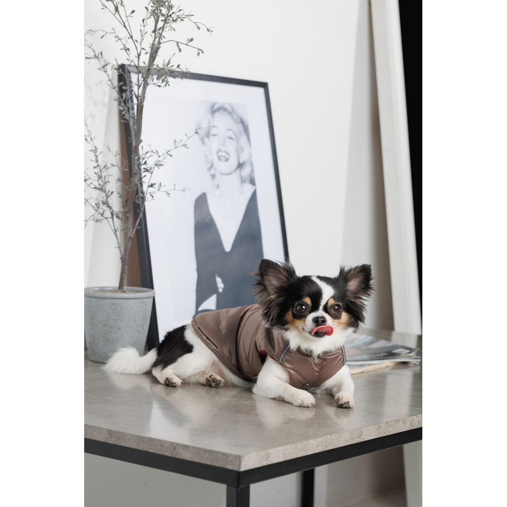 PET FASHION Hardy Жилет для собак8