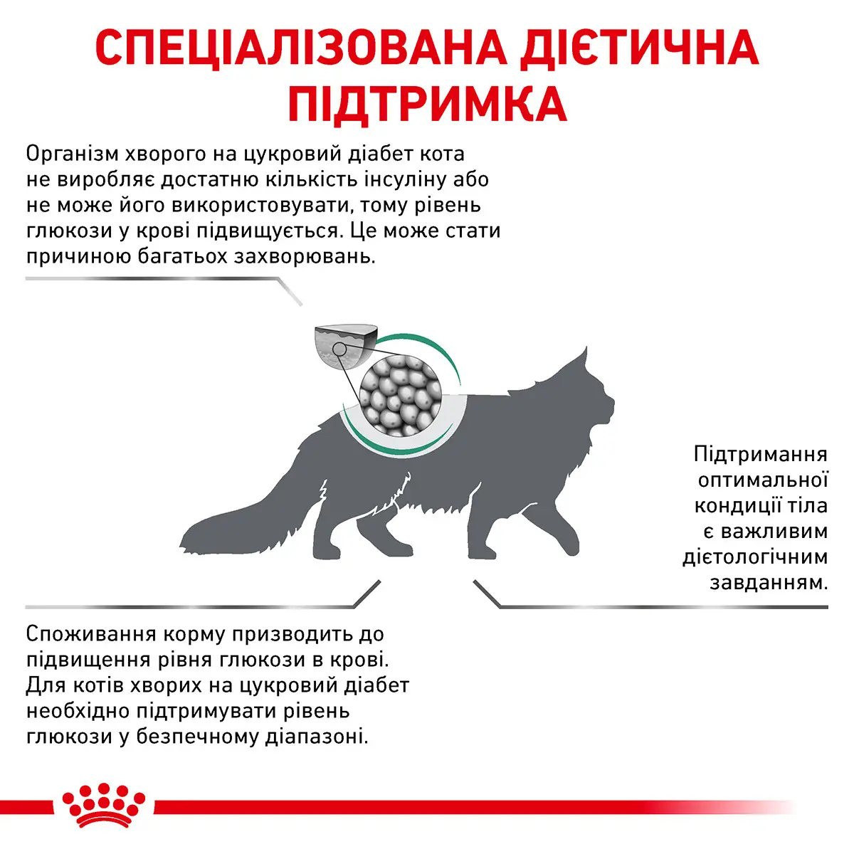 ROYAL CANIN Diabetic Cat Сухий корм для дорослих котів3