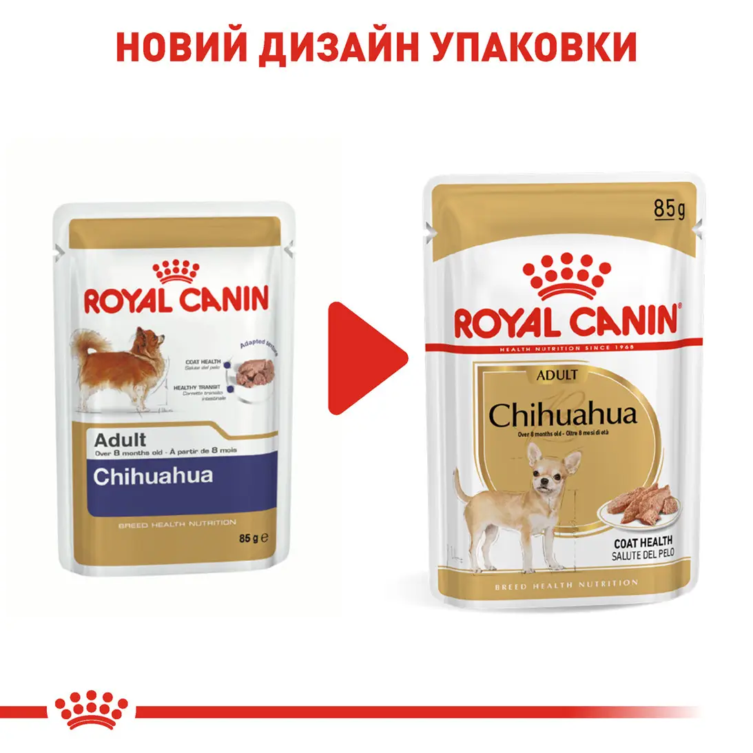 ROYAL CANIN Chihuahua Adult Вологий корм для дорослих собак породи Чихуахуа7