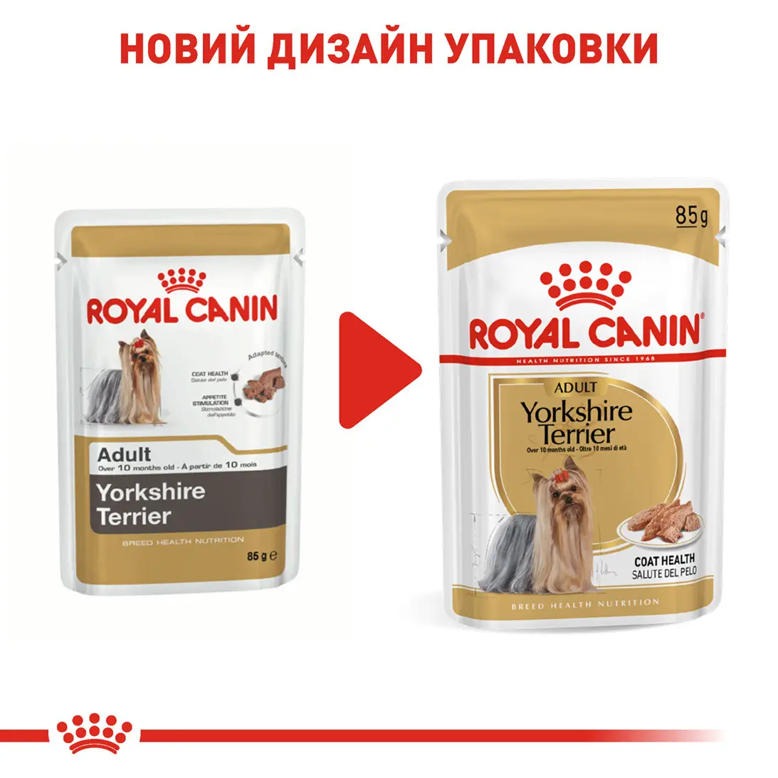 ROYAL CANIN Yorkshire Terrier Adult Влажный корм для взрослых собак породы Йоркширский терьер7