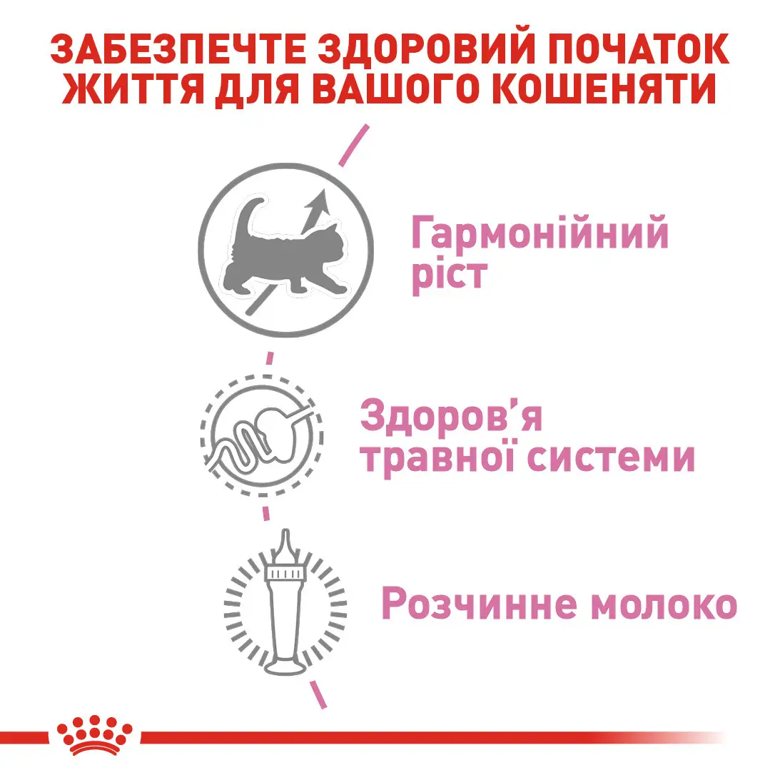 ROYAL CANIN Babycat Milk Заменитель молока для котят всех пород4