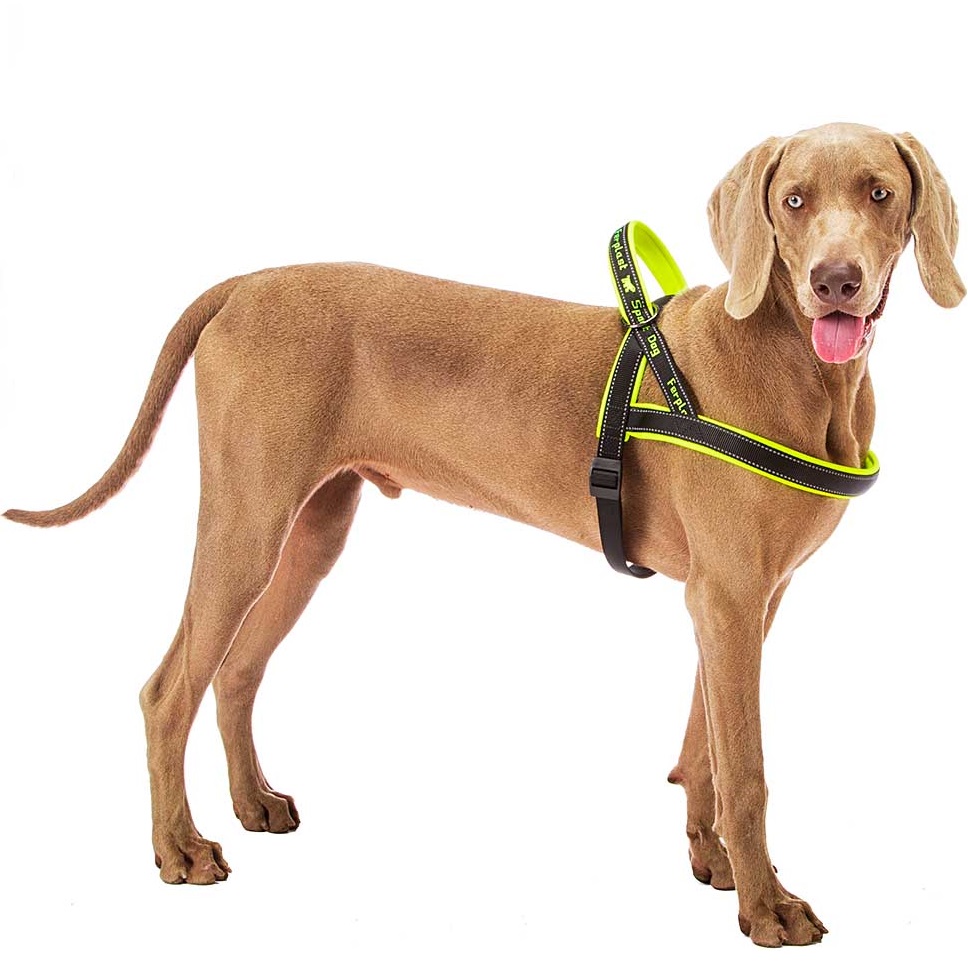 FERPLAST Sport Dog P Large Шлейка для собак9