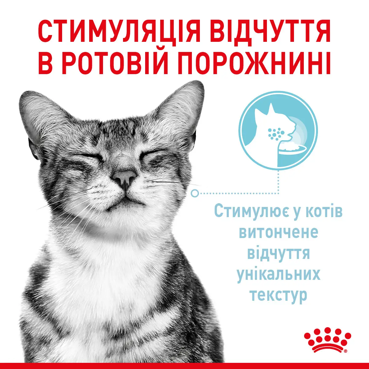 ROYAL CANIN Sensory Multipack Gravy Вологий корм для дорослих котів3