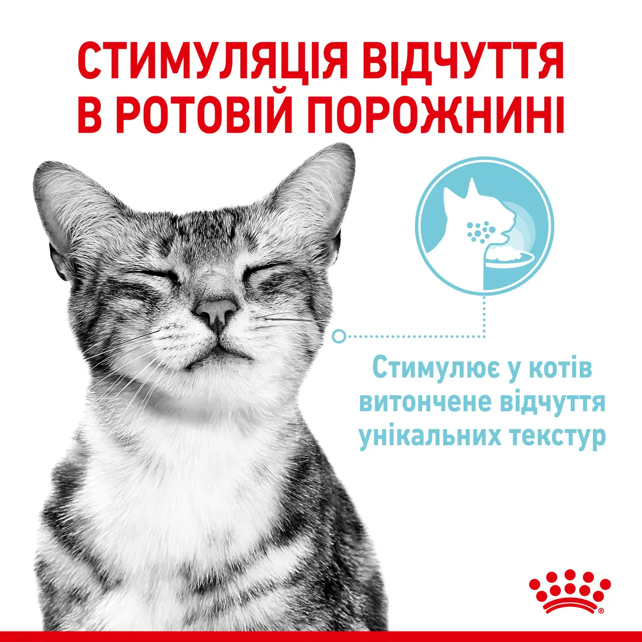 ROYAL CANIN Sensory Feel Gravy Вологий корм для дорослих котів2