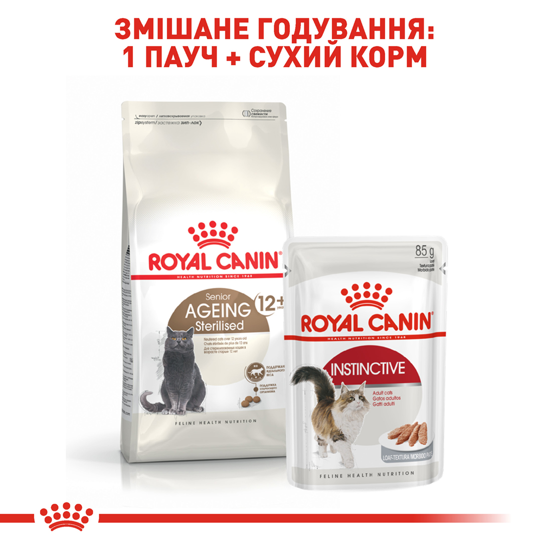 ROYAL CANIN Sterilised Ageing 12+ Сухой корм для взрослых стерилизованных котов2