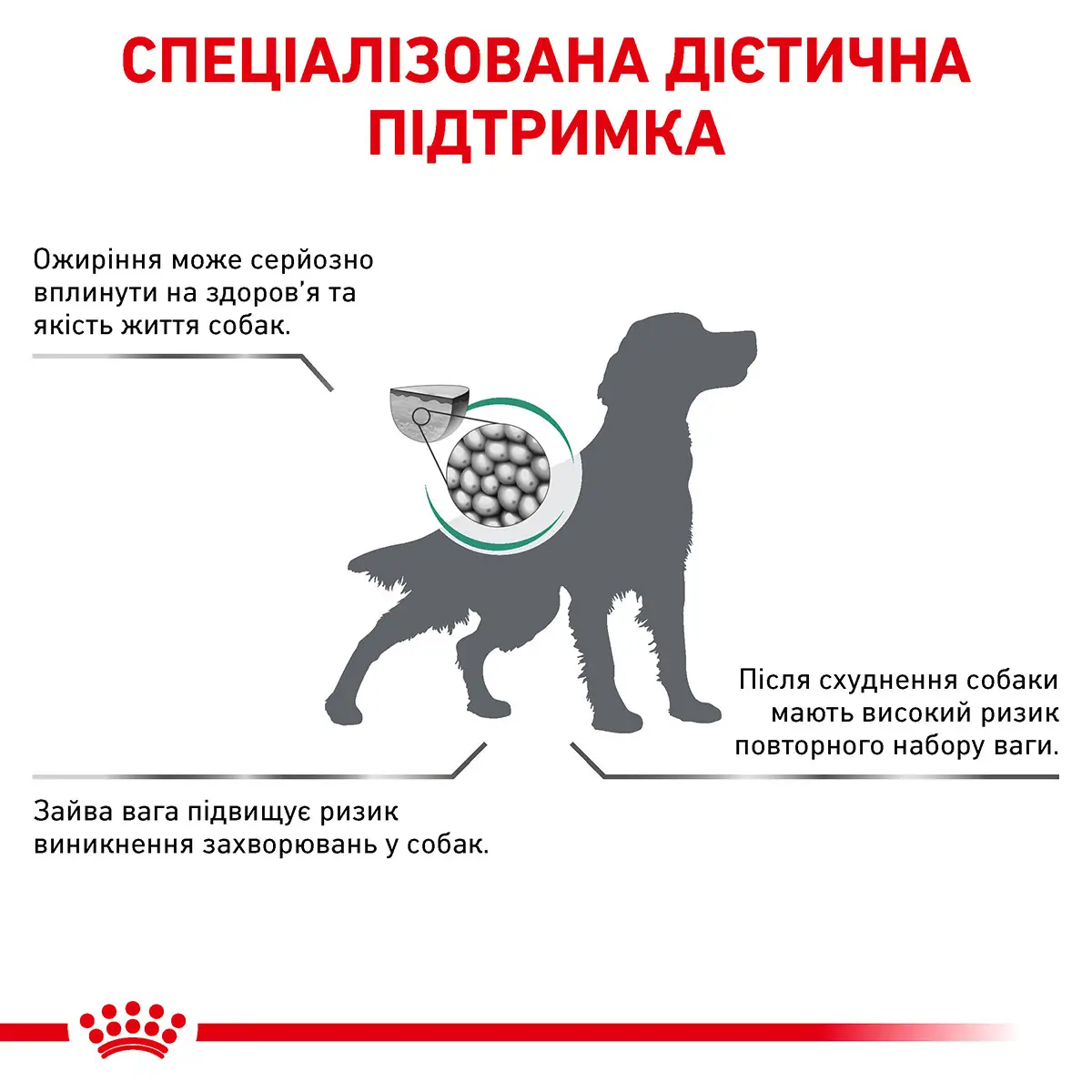 ROYAL CANIN Satiety Weight Management Dog Сухий корм для дорослих собак2