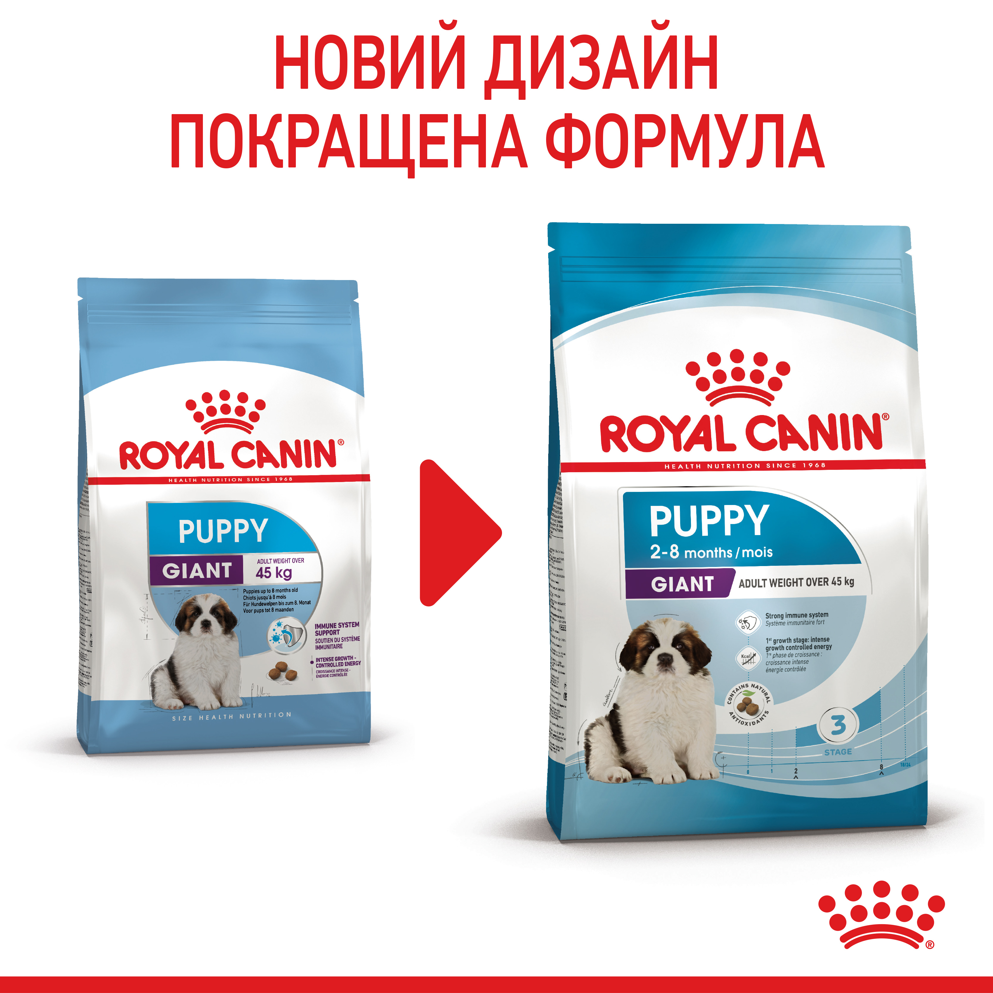 ROYAL CANIN Giant Puppy Сухий корм для цуценят гігантських порід до 8 місяців9