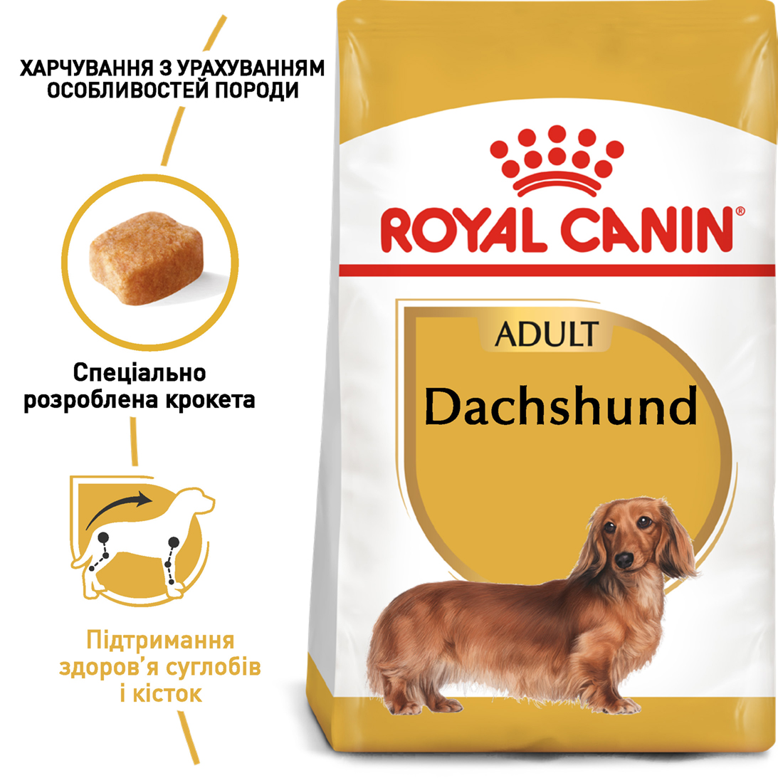 ROYAL CANIN Dachshund Adult Сухий корм для дорослих собак породи Такса4