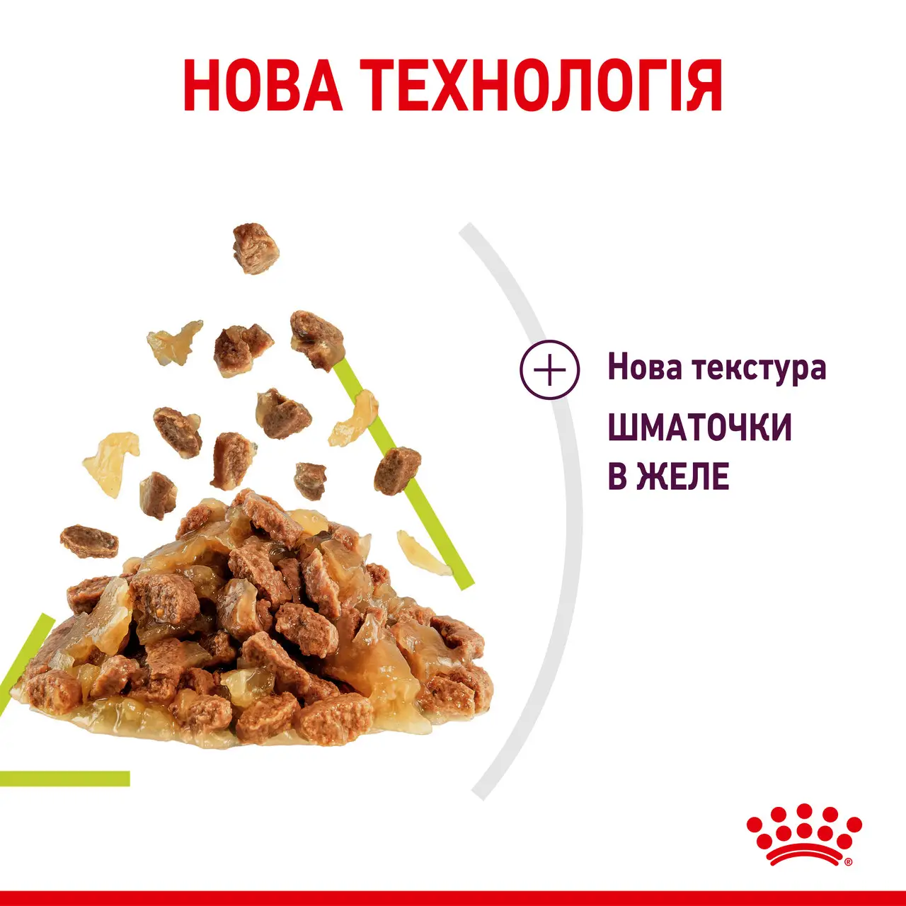 ROYAL CANIN Sensory Smell Jelly Вологий корм для дорослих котів3