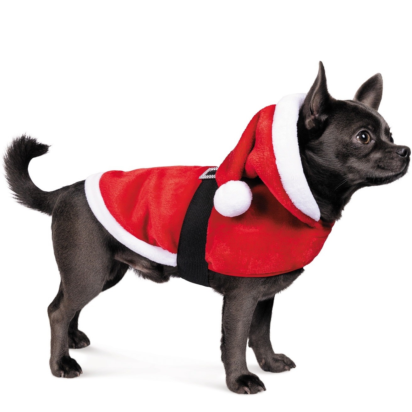 PET FASHION Santa Попона для собак2