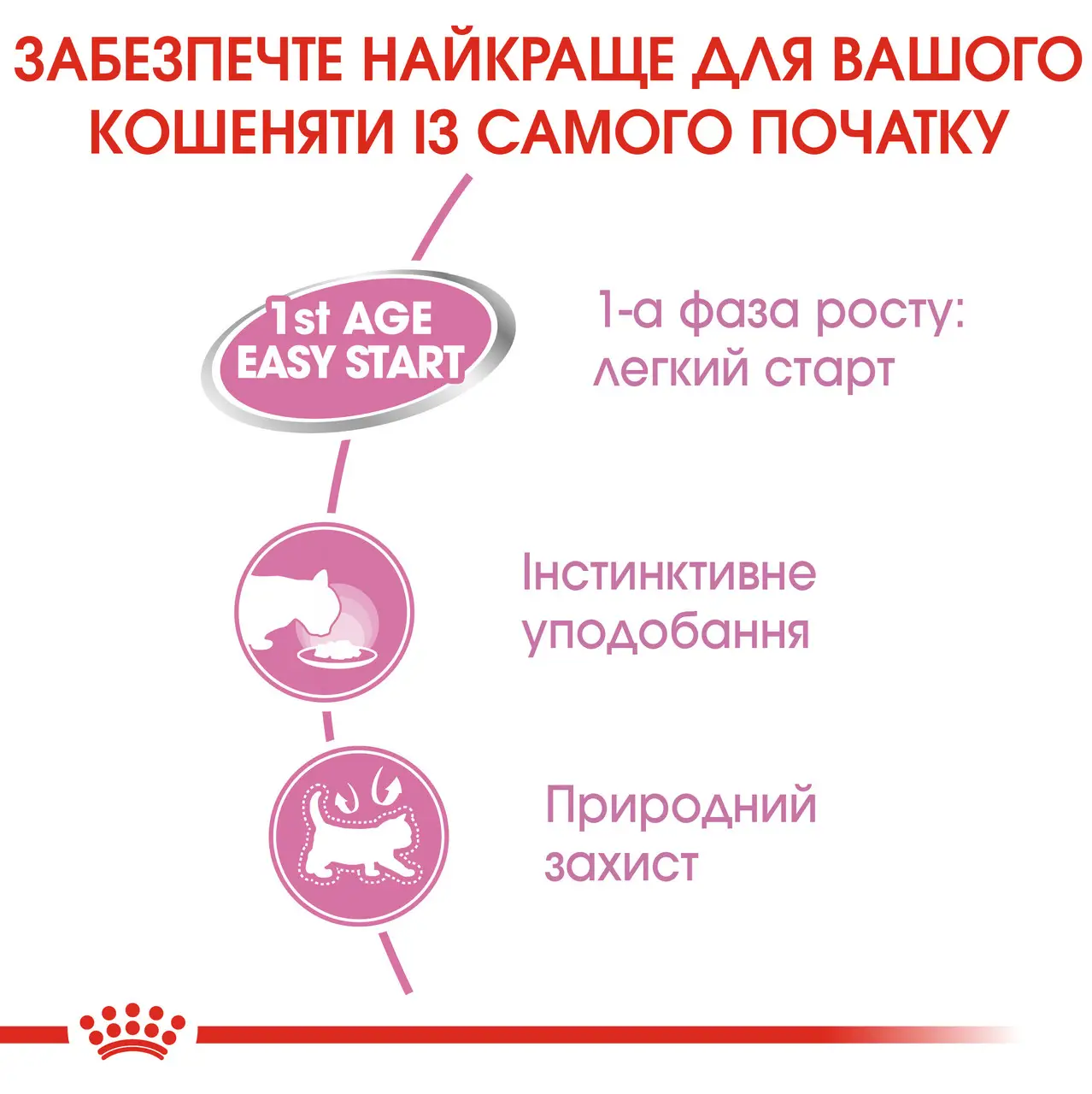 ROYAL CANIN Mother & Babycat Влажный корм (мусс) для котят3