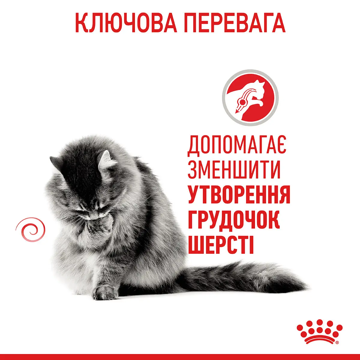 ROYAL CANIN Hairball Care Вологий корм для дорослих котів4