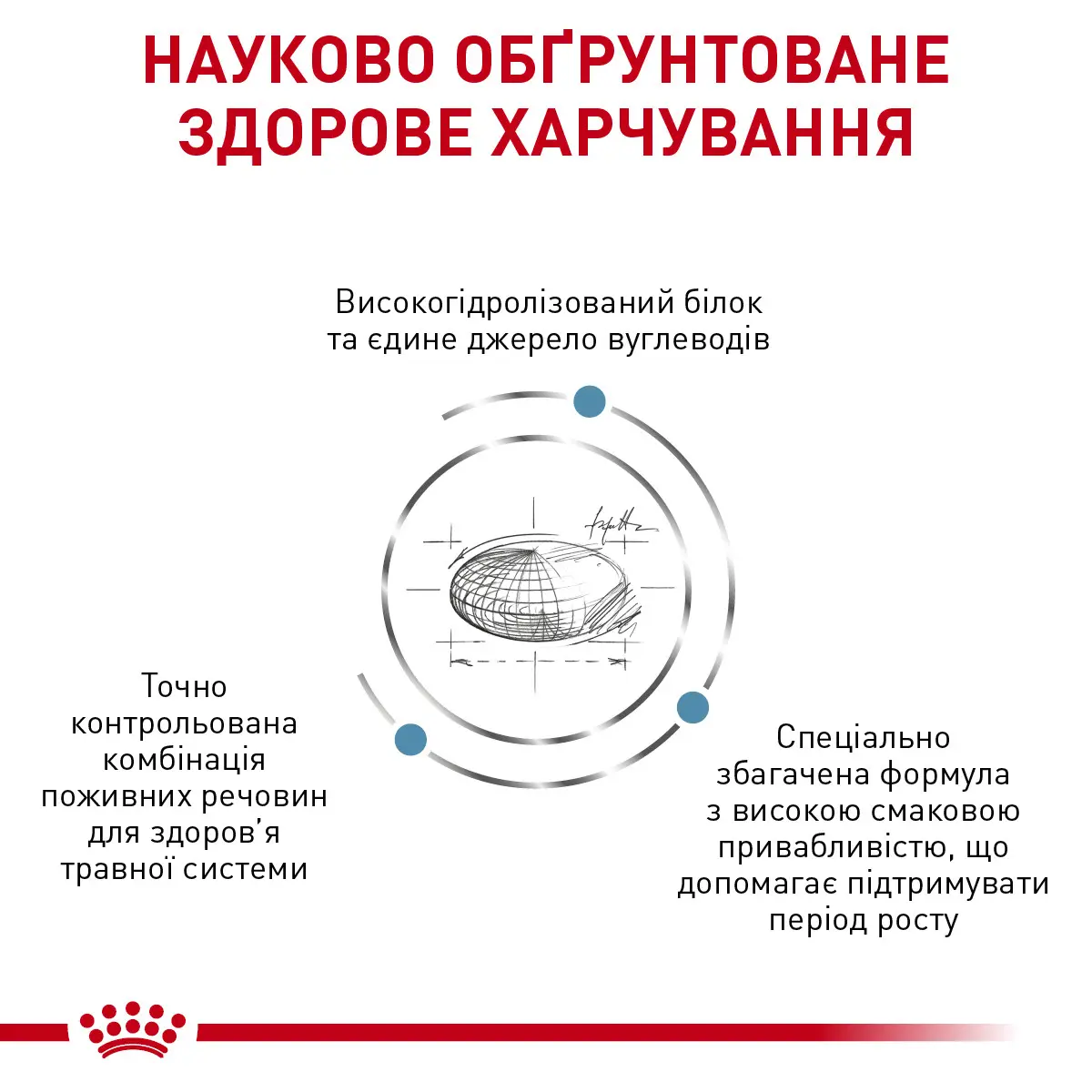 ROYAL CANIN Hypoallergenic Puppy Сухий корм для цуценят3