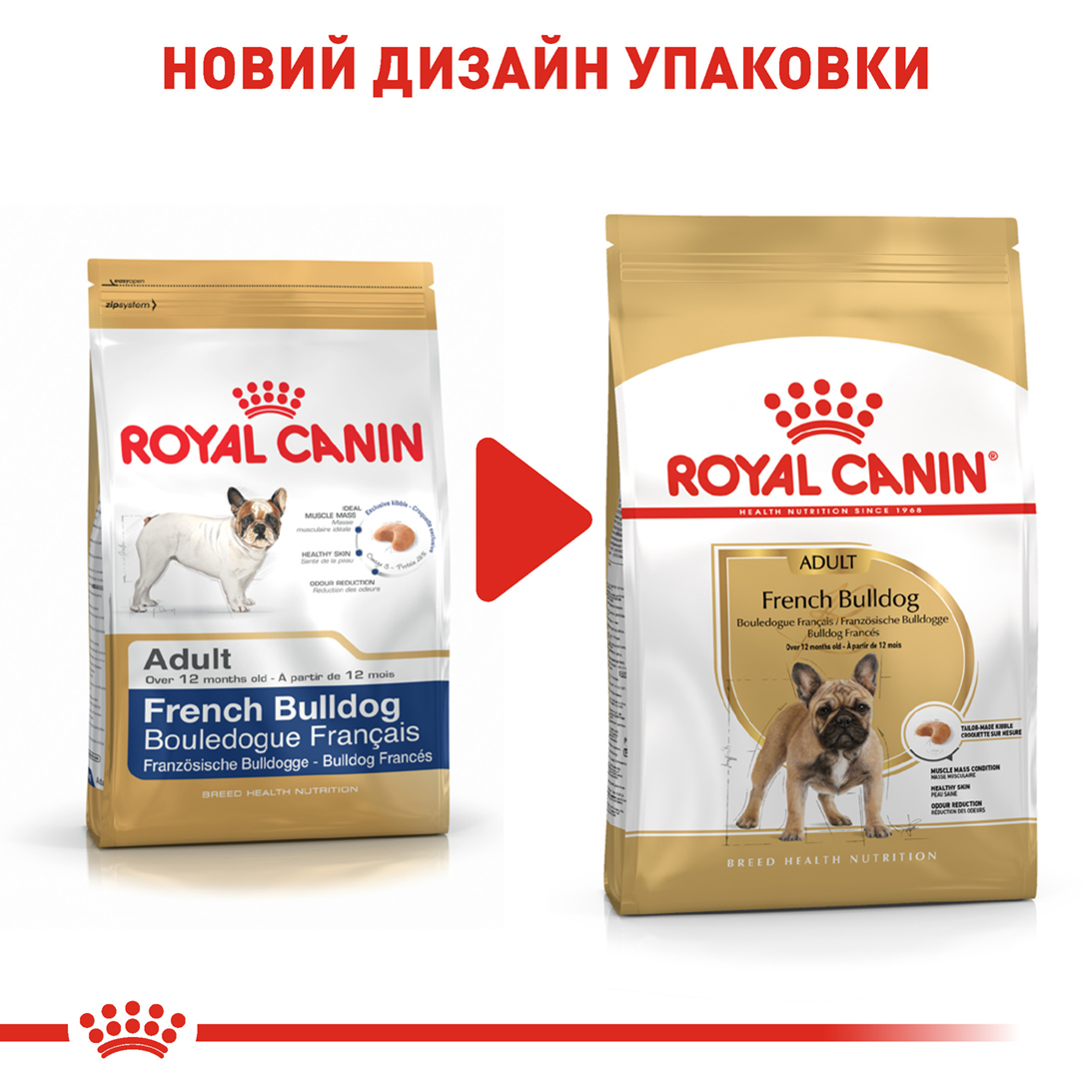 ROYAL CANIN French Bulldog Adult Сухой корм для взрослых собак породы Французский бульдог7