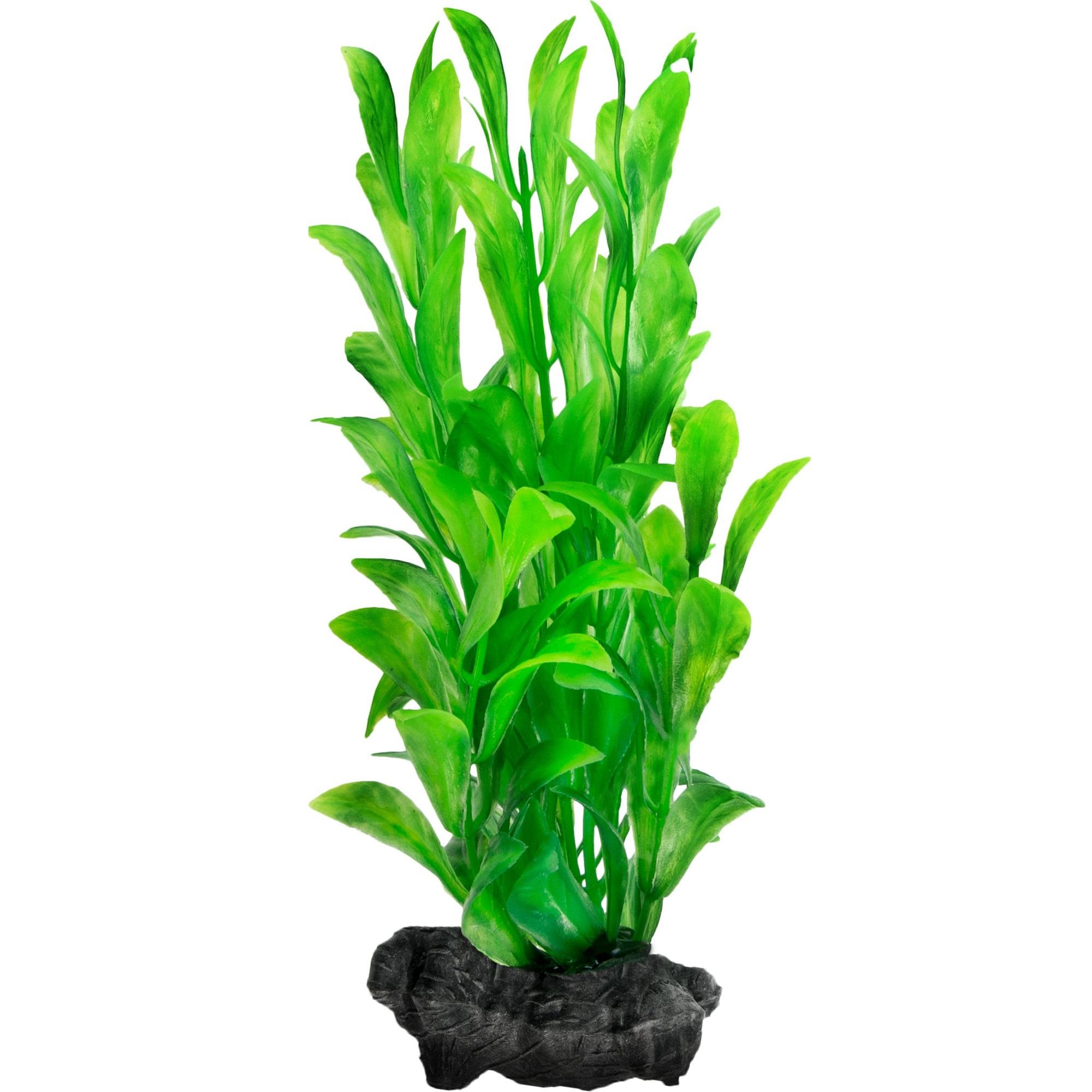 TETRA DecoArt Plant Hygrophila Декоративна рослина для акваріумів0