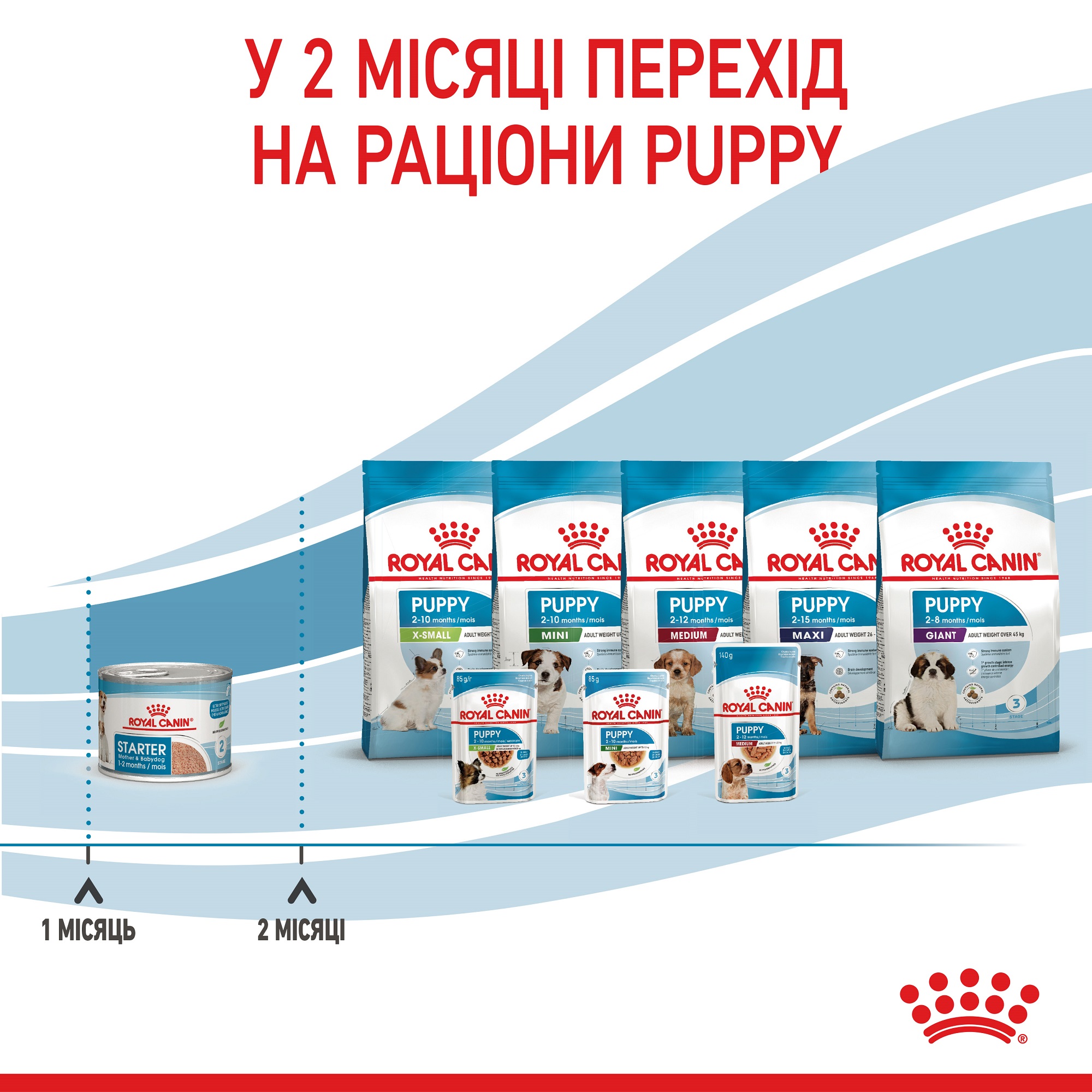 ROYAL CANIN Starter Mousse Влажный корм для щенков и собак в период лактации7