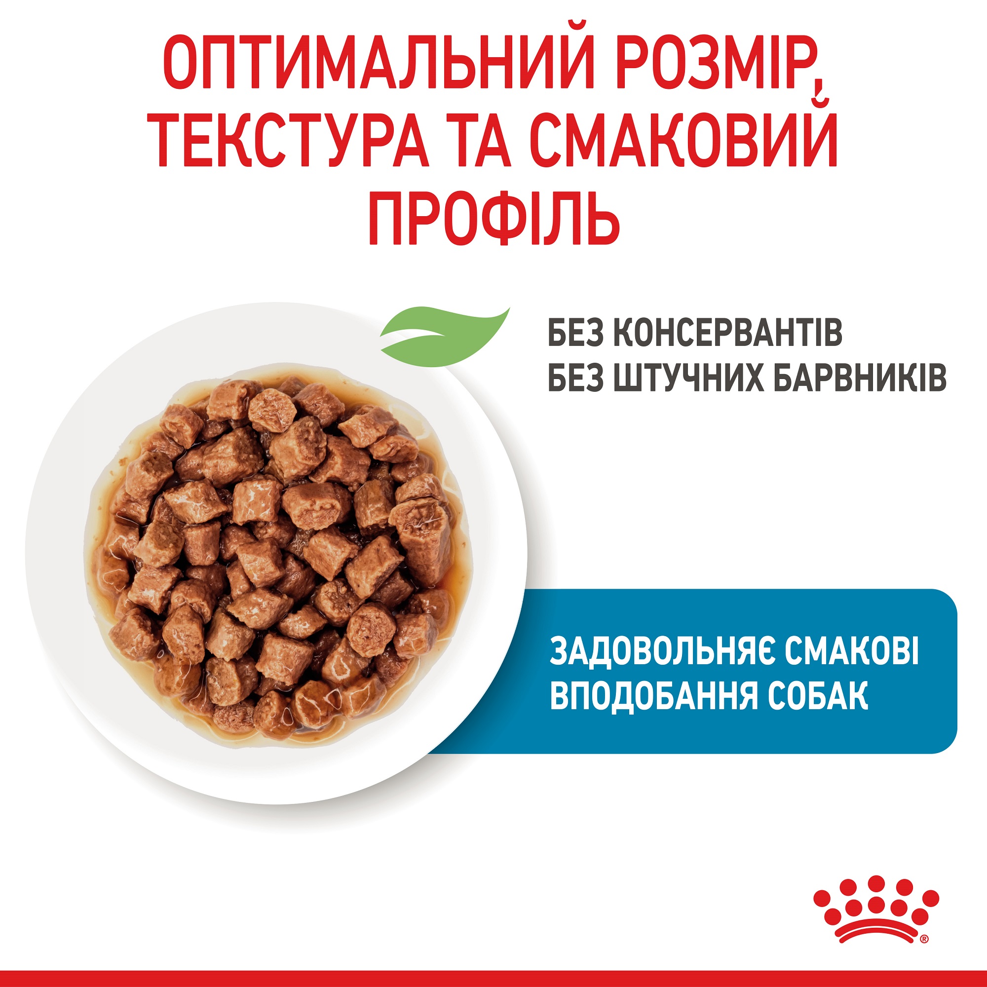 ROYAL CANIN X-Small Puppy Вологий корм для цуценят мініатюрних порід4