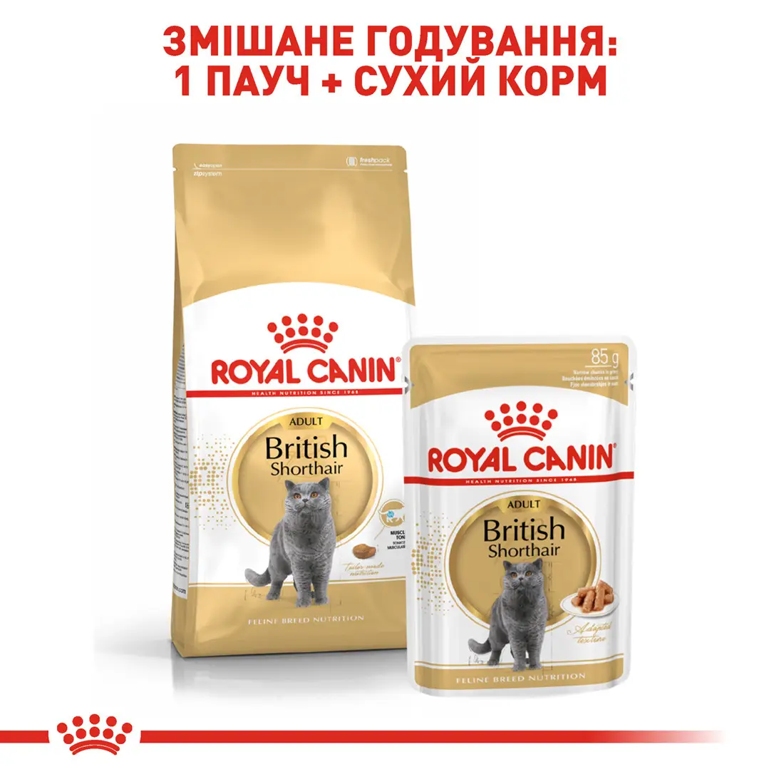 ROYAL CANIN British Shorthair Adult Сухой корм для взрослых кошек породы Британская короткошерстная6