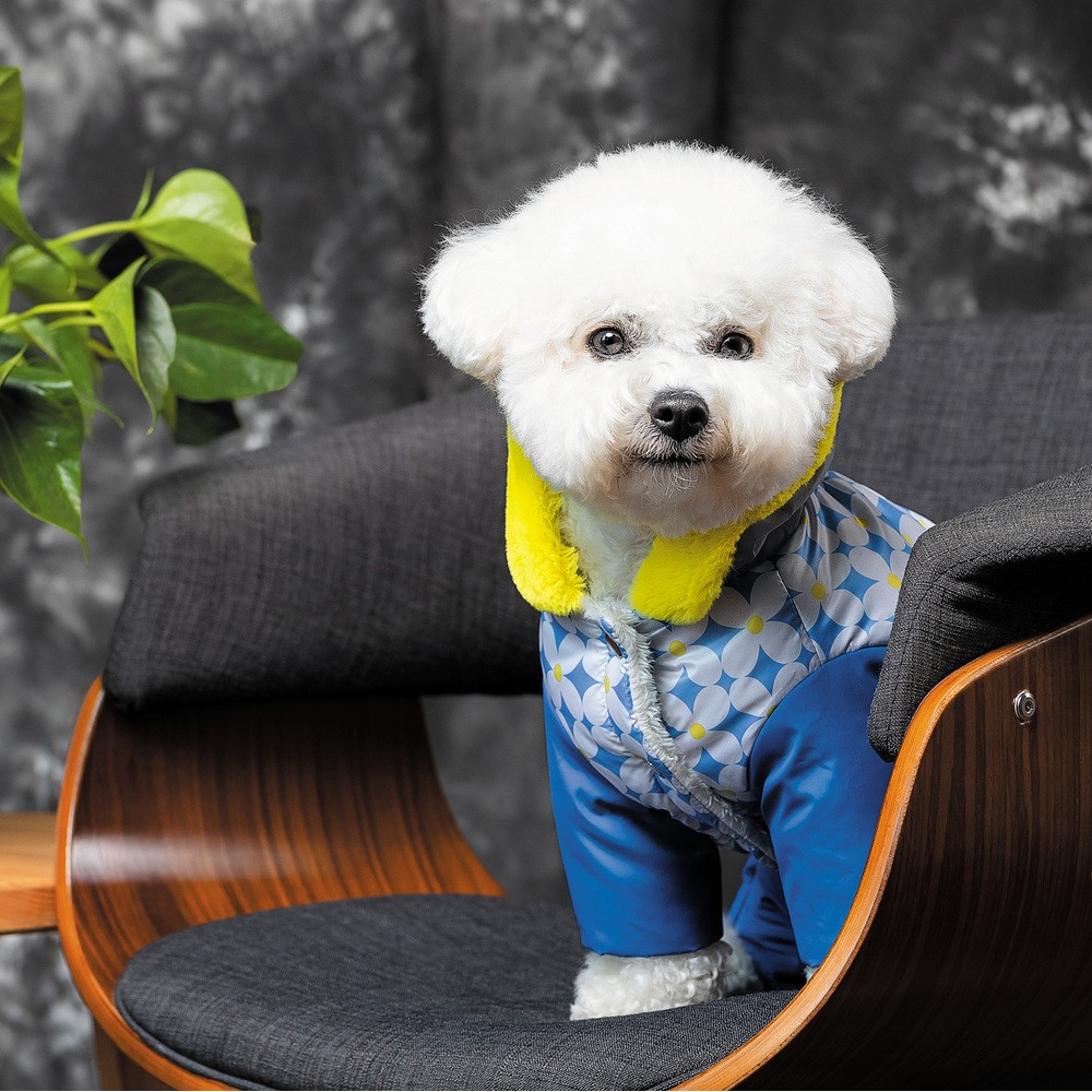 PET FASHION Tender Костюм для собак2