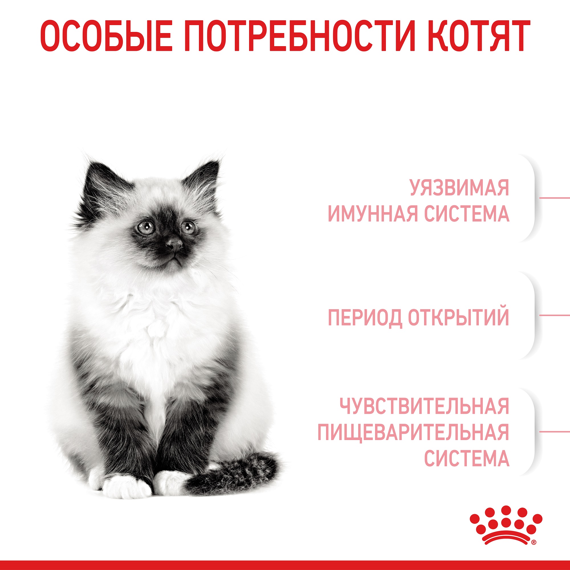 ROYAL CANIN Kitten Сухой корм для котят4