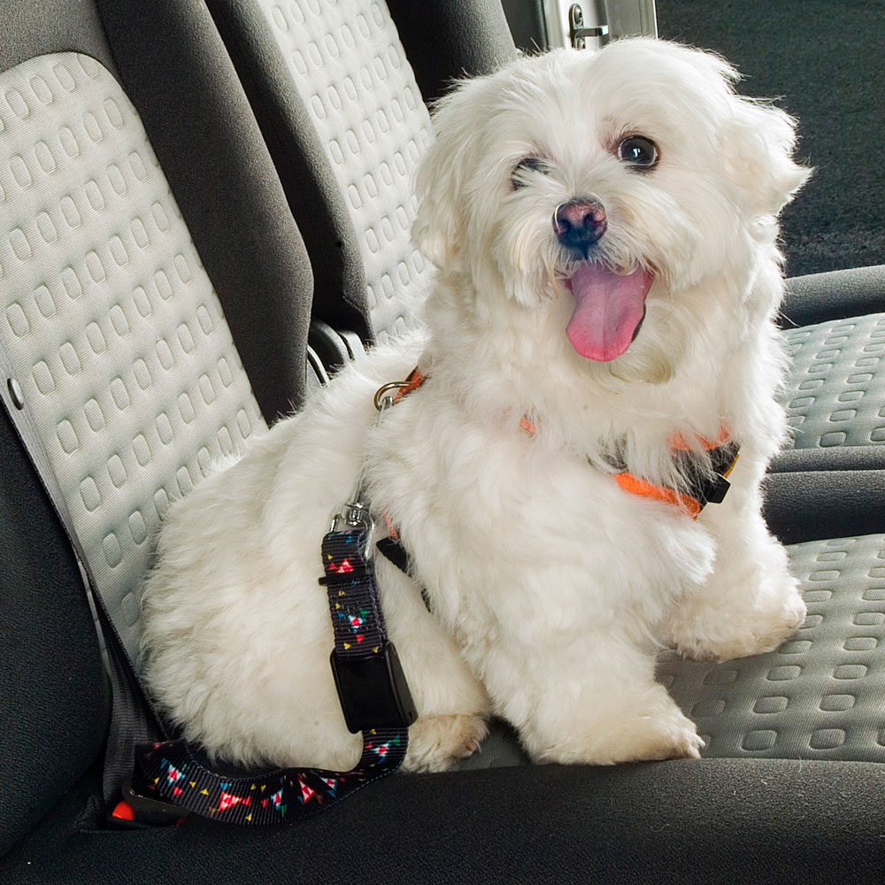 FERPLAST Dog Safety Belt Ремень безопасности для собак1