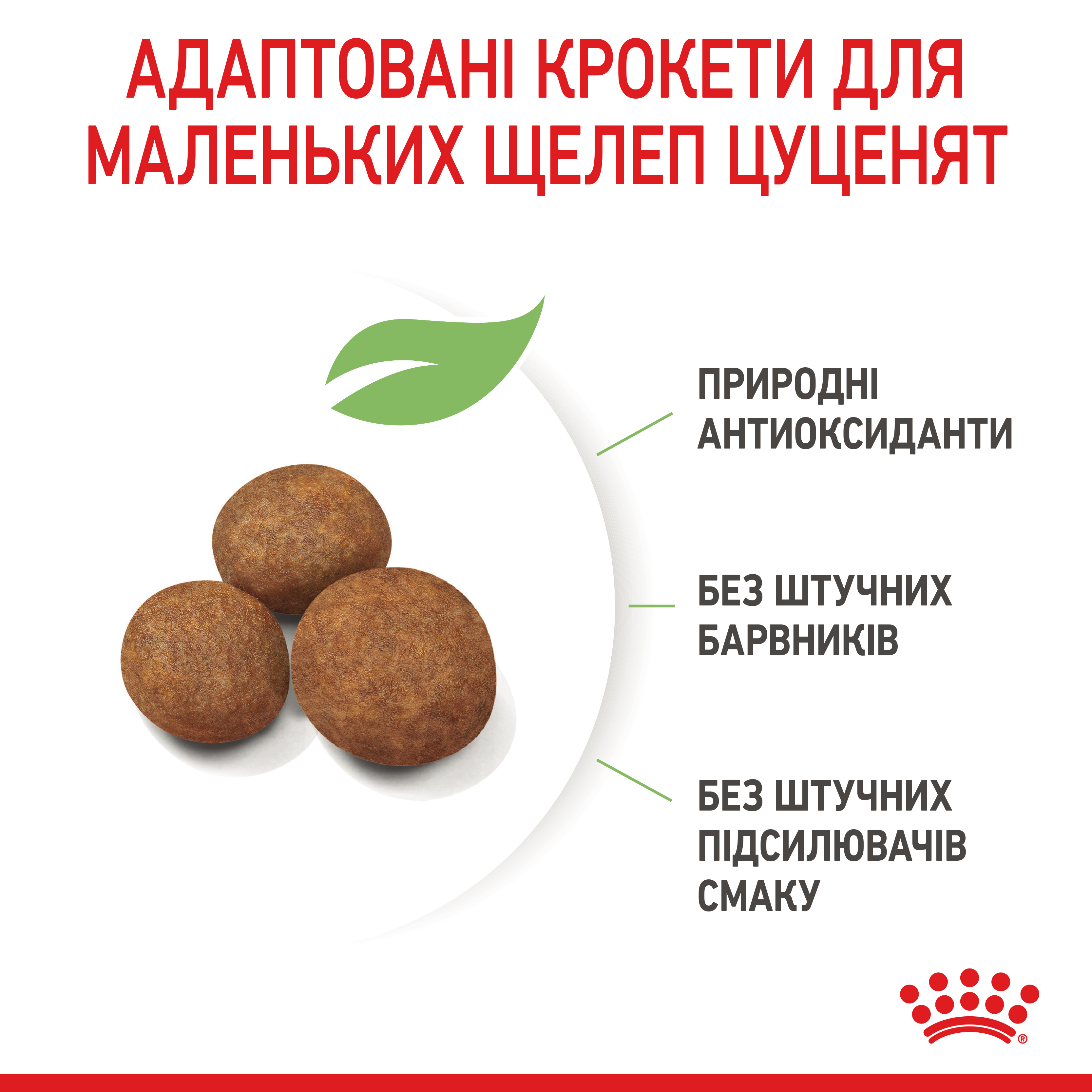 ROYAL CANIN Giant Puppy Сухий корм для цуценят гігантських порід до 8 місяців3