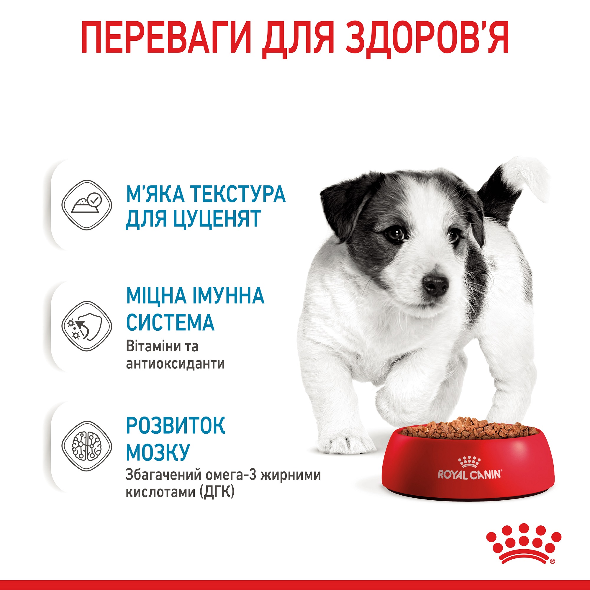 ROYAL CANIN Mini Puppy Вологий корм для цуценят малих порід5