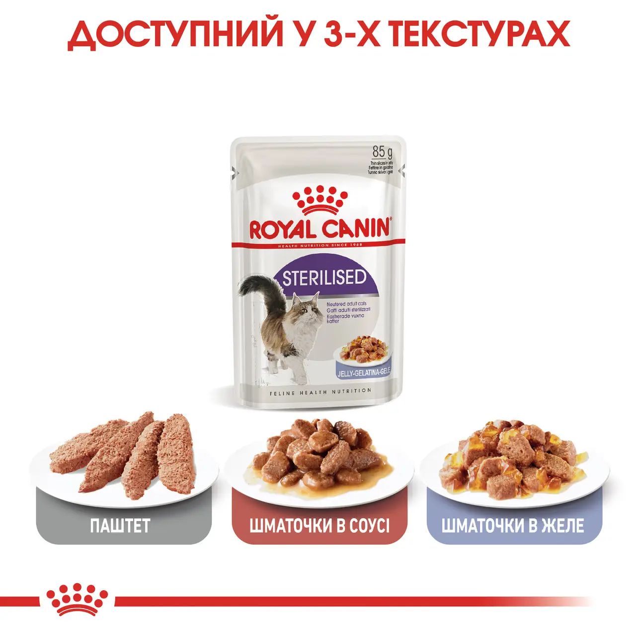 ROYAL CANIN Sterilised Jelly Влажный корм для взрослых стерилизованных котов1