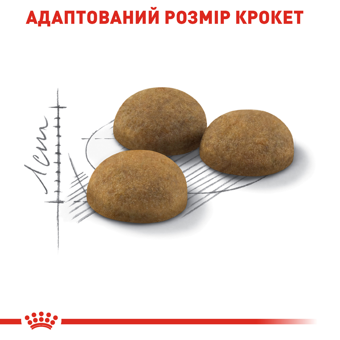 ROYAL CANIN Indoor Long Hair Сухий корм для домашніх довгошерстих котів5