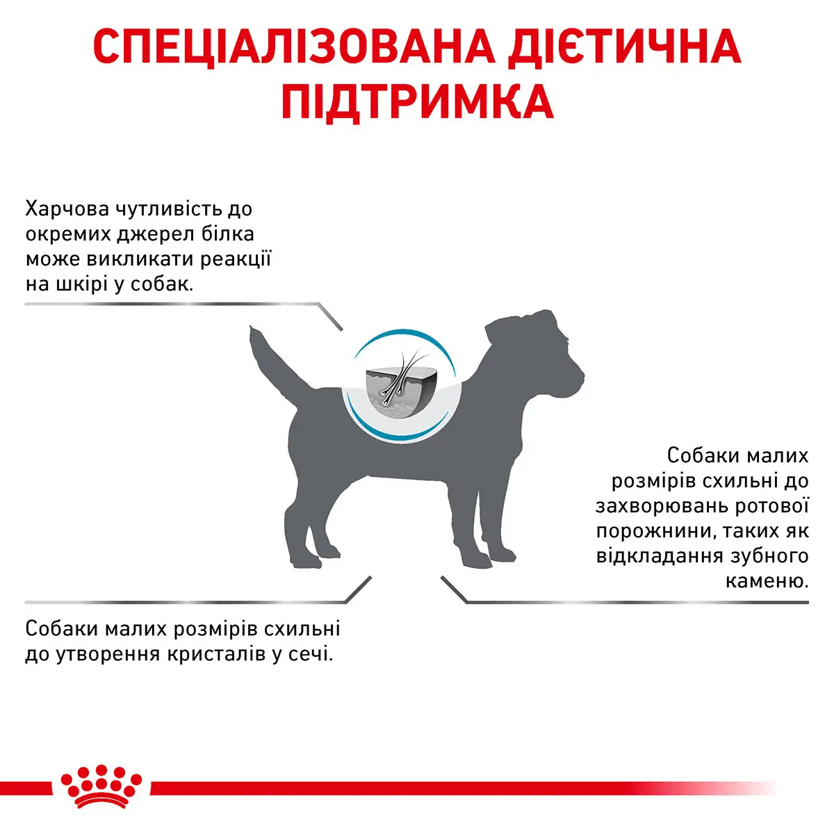 ROYAL CANIN Hypoallergenic Small Dog Корм для дорослих собак3