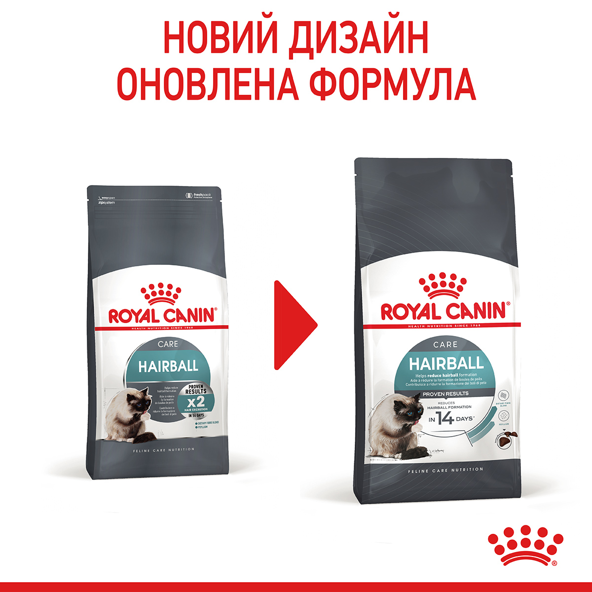 ROYAL CANIN Hairball Care Сухий корм для дорослих котів для виведення грудок шерсті9