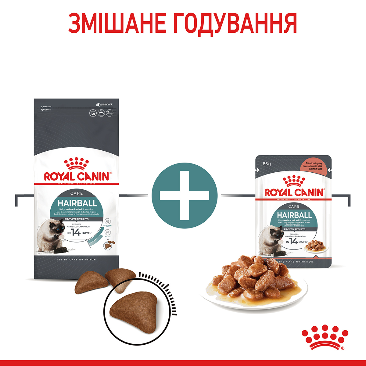 ROYAL CANIN Hairball Care Сухий корм для дорослих котів для виведення грудок шерсті6