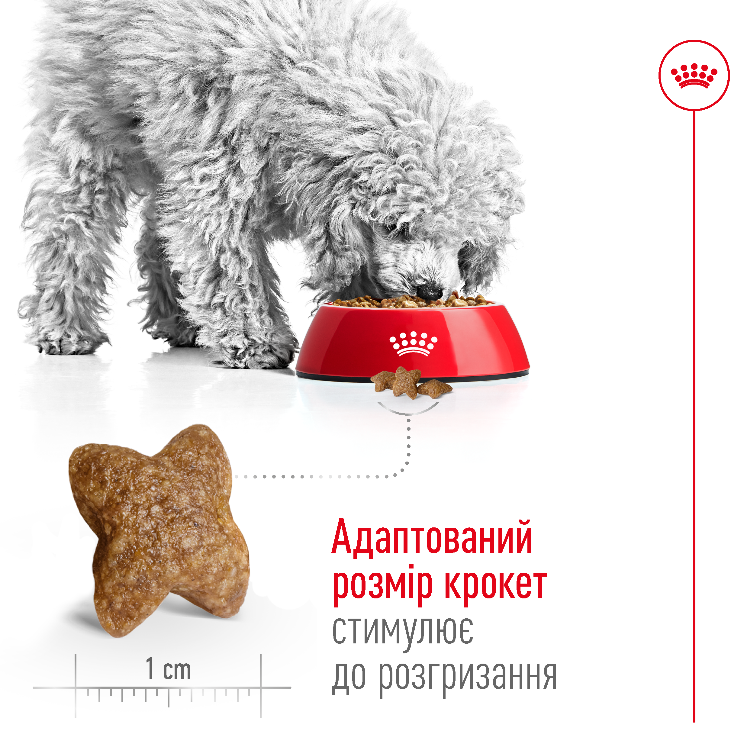 ROYAL CANIN Mini Adult Сухой корм для взрослых собак мелких пород3