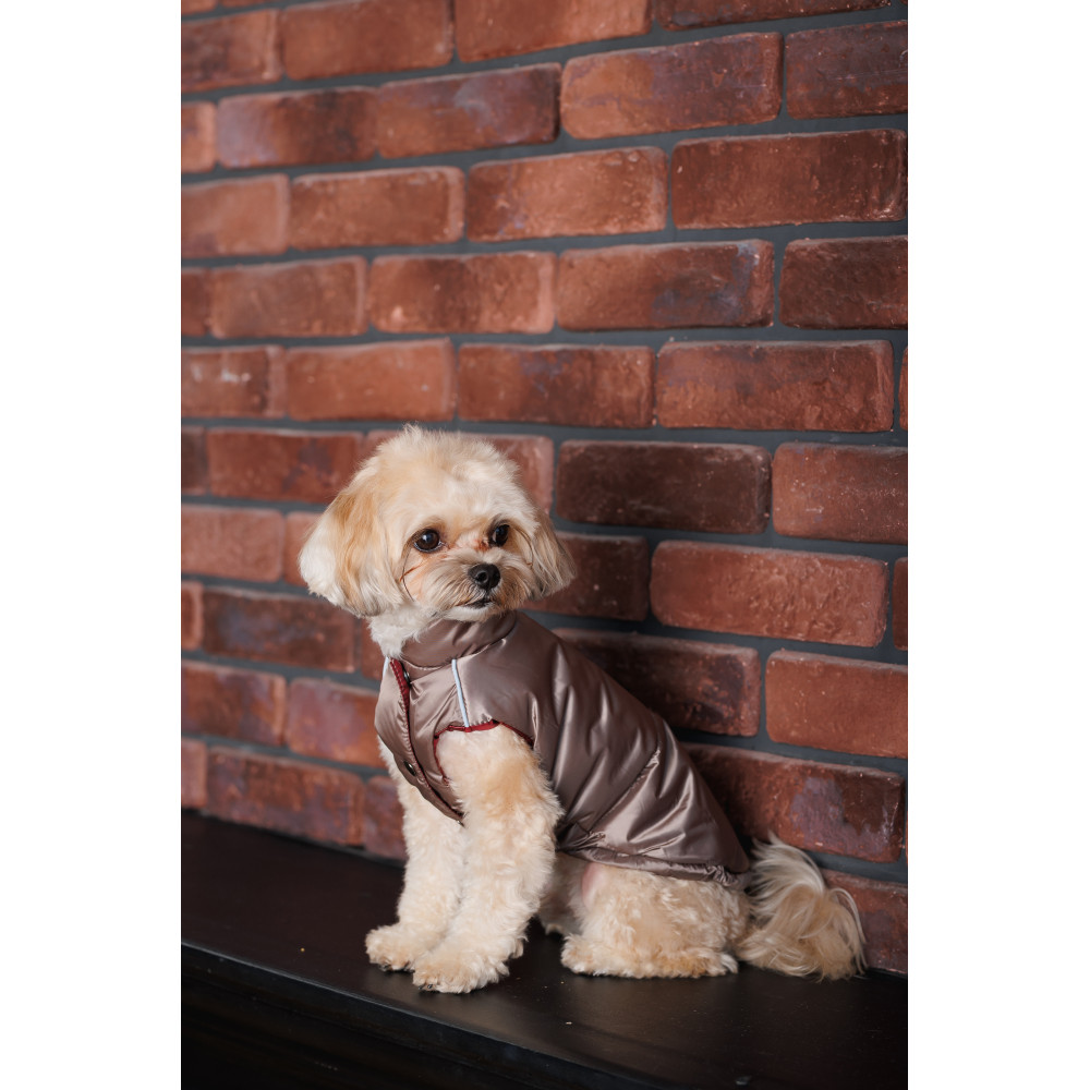 PET FASHION Hardy Жилет для собак7