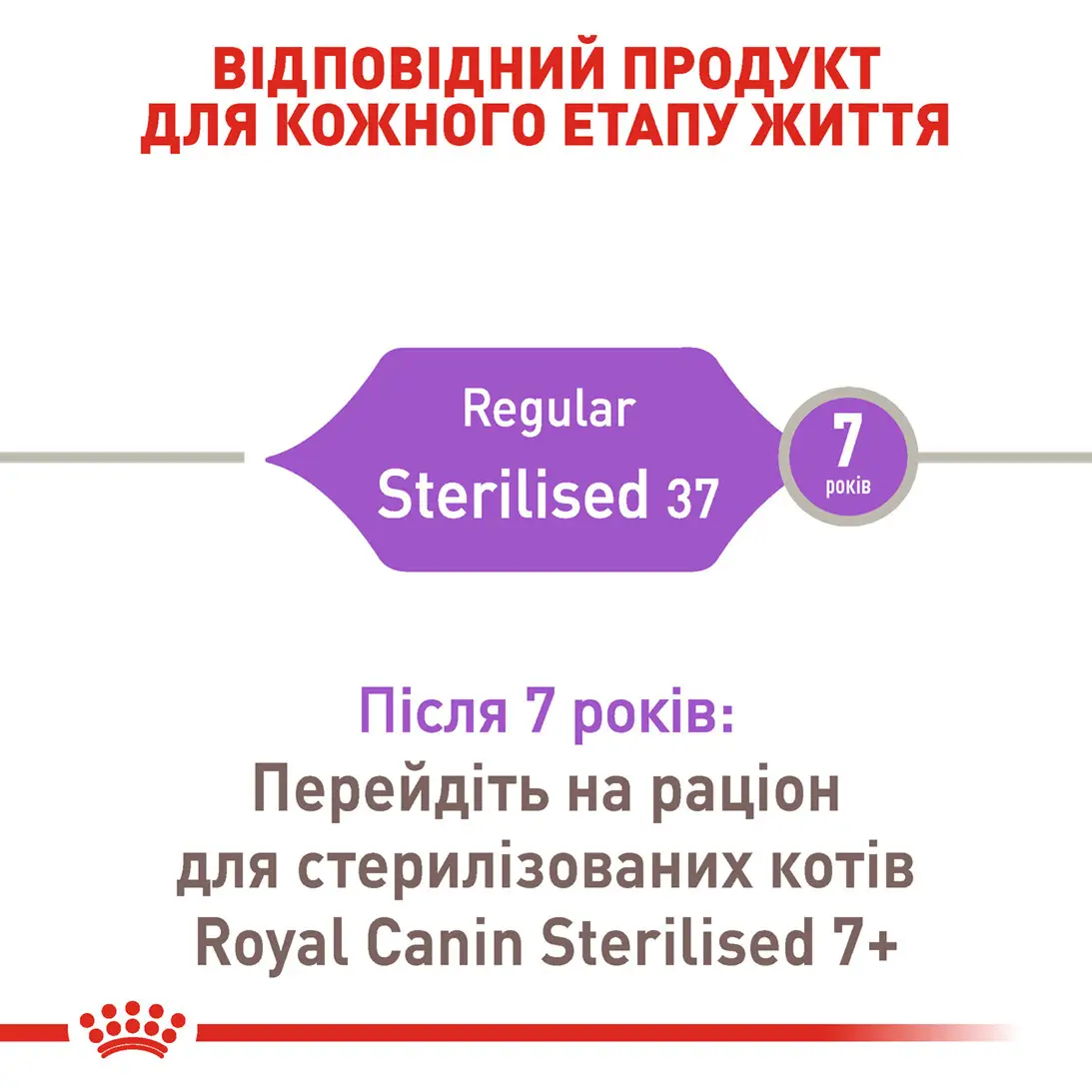 ROYAL CANIN Sterilised Сухой корм для взрослых стерилизованных кошек2